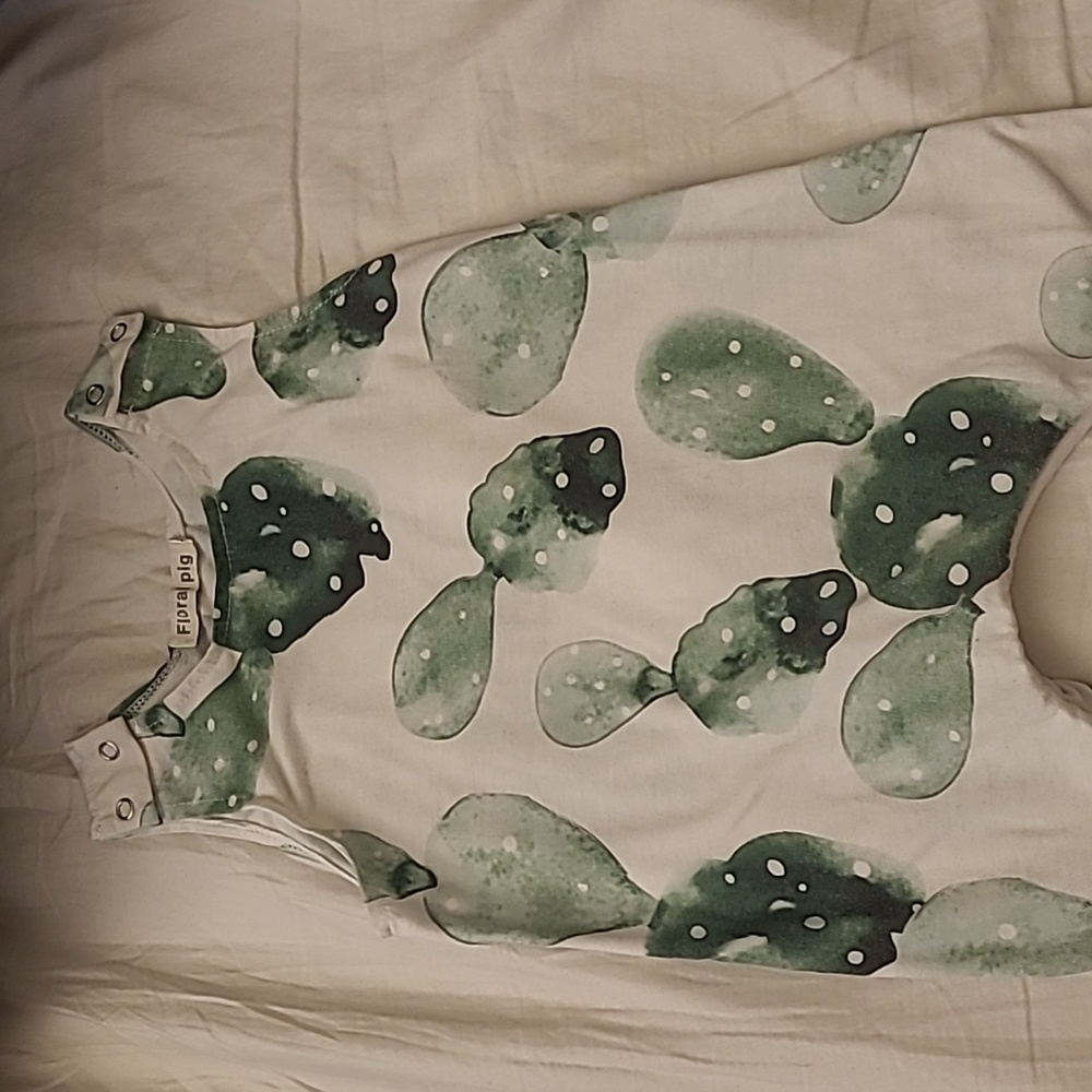 Floral Pig Cactus Jumpsuit Size 2T/3T